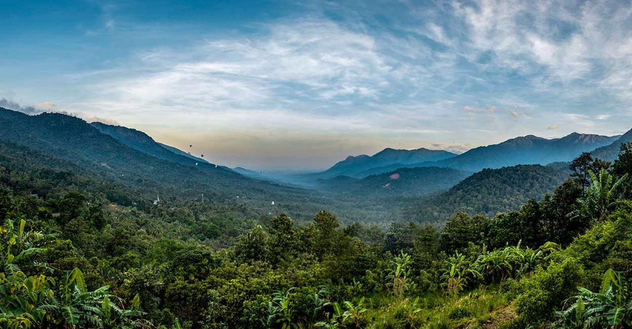 Wayanad